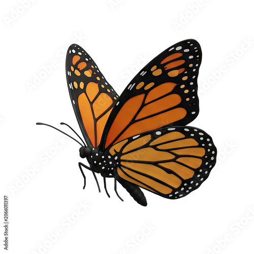 Monarch Butterfly