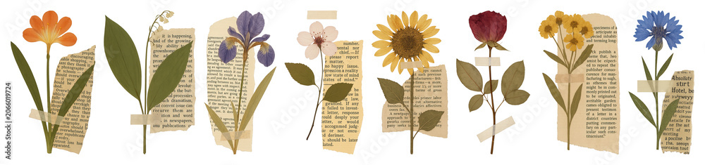 Fototapeta premium PNG Vintage floral collage art on transparent background