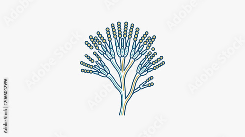 Fotografie Microscopic view of Penicillium fungus structure.