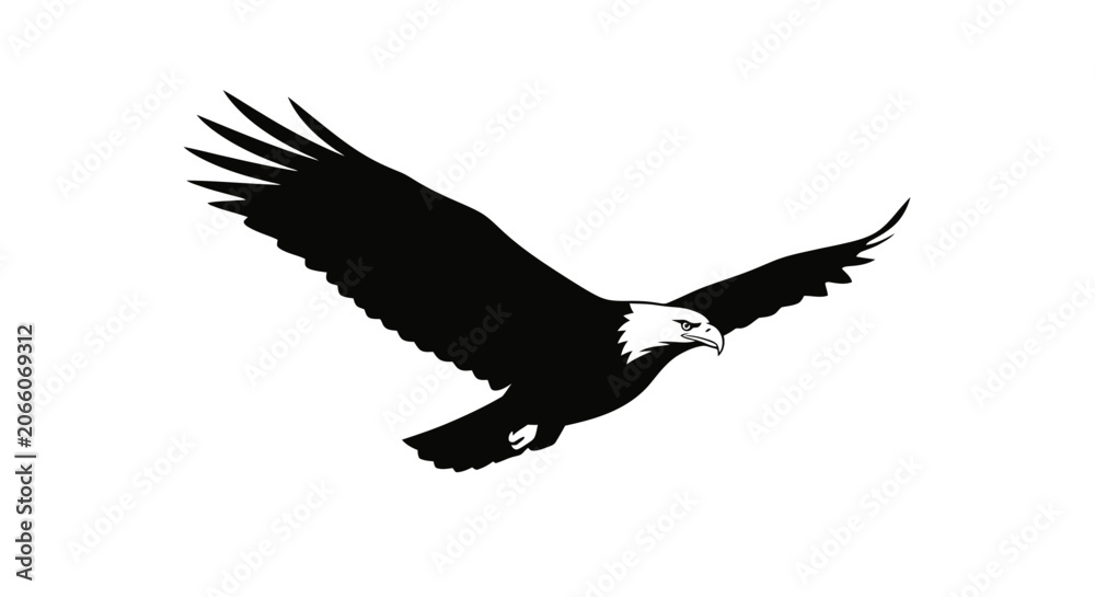 Fototapeta premium Black eagle flying, silhouette bird, winged animal, wildlife icon Vector