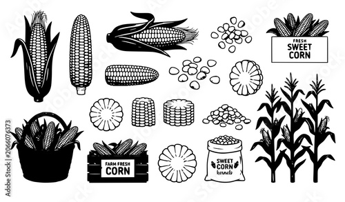Canvastavla Organic Sweet Corn Collection Vector Illustration with Healthy Farm Vegetables o