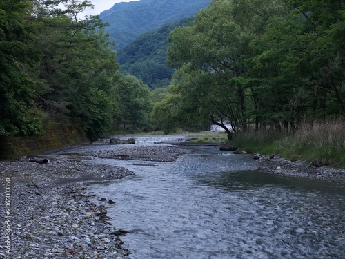 Foto Riverside stream flows gently through forested valley