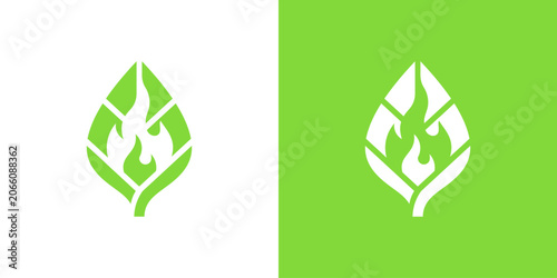 logo design leaf and fire, design vector icon idea