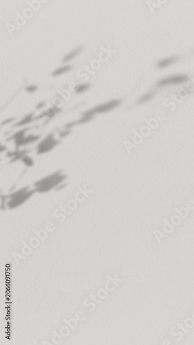 Fotografie Minimalist shadow leaves texture mobile wallpaper