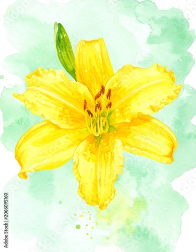 Yellow lily flower watercolor painting