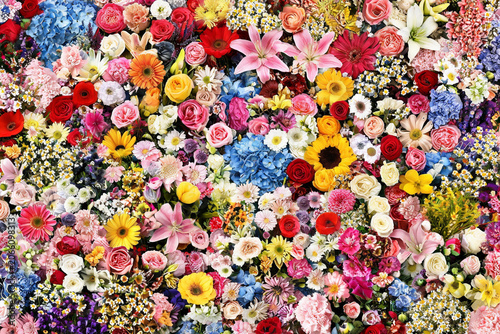 Abundant floral background with hundreds of blooming colorful flowers, dense summer bouquet pattern with rose and hydrangea wallpaper