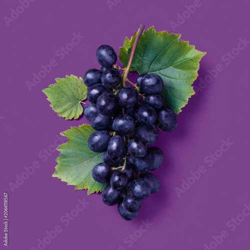Dark Purple Grapes with Green Leaves on Vibrant Purple Background