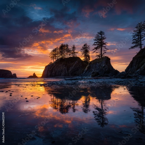 Scenic Coastal Sunset with Rocky Cliffs and Tall Pine Trees Over Calm Reflective Water