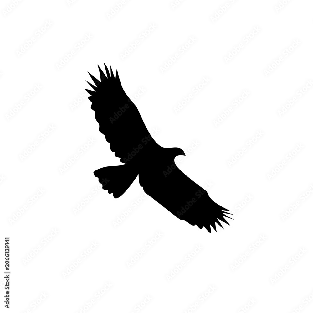 Fototapeta premium Bird silhouette