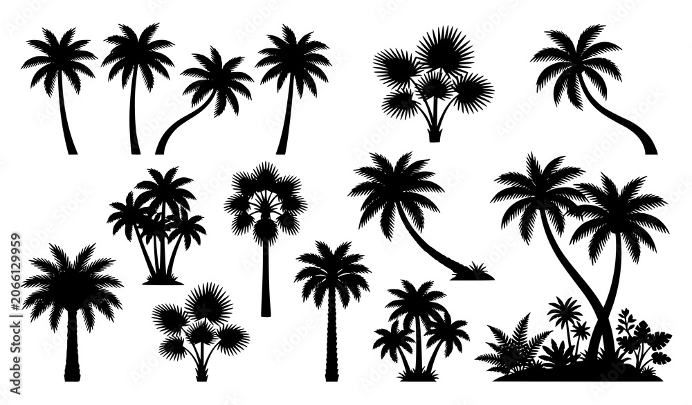 Fototapeta premium Black Palm Tree Silhouette Set SVG – Tropical Coconut Palm Vector Illustration Collection