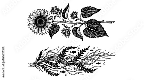 Ink drawing of sunflower and abstract underwater plant with fish
