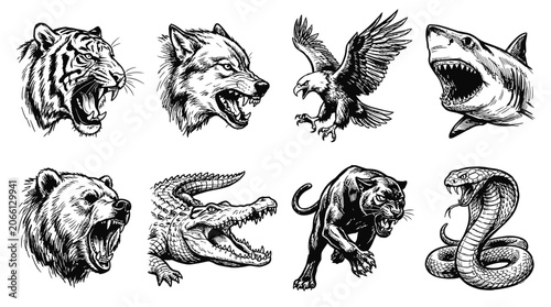 Fierce Animal Heads Collage: Tiger, Wolf, Eagle, Shark, Bear, Gator, Panther, Cobra
