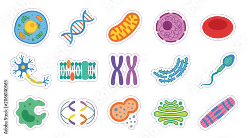 Flat Vector Biology Icons Set: Cells, DNA, Organelles, and Medical Science Elements