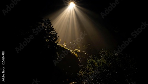 A beam of light shining through trees in the darkness, illuminating a path