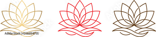 Waterlily