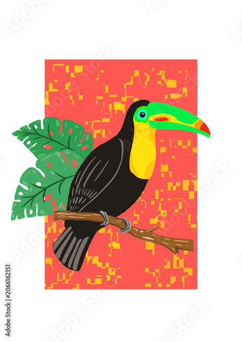 Toucan bird sitting on a tree branch with monstera plant leaves and colored rectangle isolated on transparent background. Flat style, png.