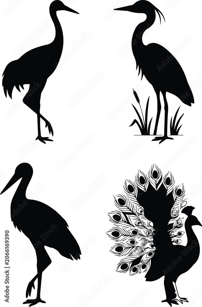 Obraz premium Elegant bird silhouettes set, black crane and heron vector icons, peacock with feathers and stork illustrations for nature logos and wildlife branding