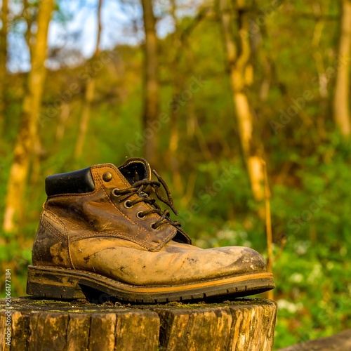 Worn hiking boot on tree stump in forest