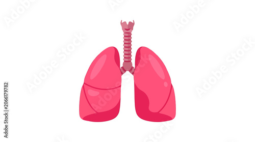 Konstfotografi Healthy Bright Pink Human Lungs Anatomy Icon