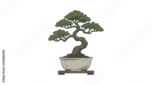 Bonsai Tree in Ceramic Pot