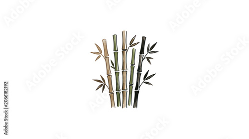 Watercolor Bamboo Stalks with Leaves Isolated on White Background