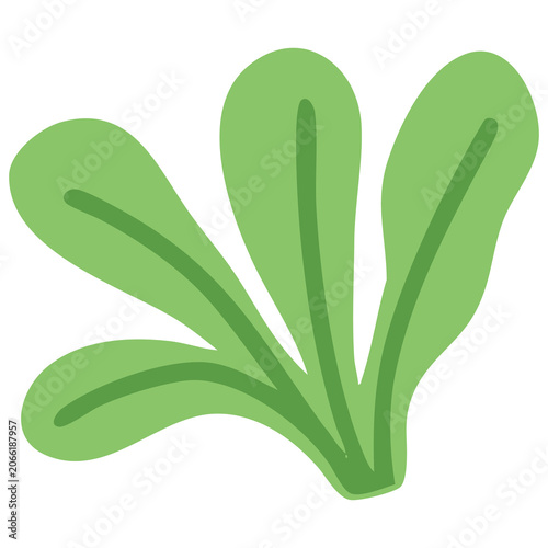Tableau sur toile Bok Choy Asian Vegetable Icon