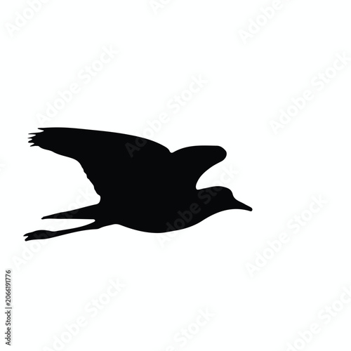 Red-wattled Lapwing bird silhouette in flight isolated on a light background, ideal for wildlife, nature conservation, birdwatching, logos, educational materials, decals, and design projects.