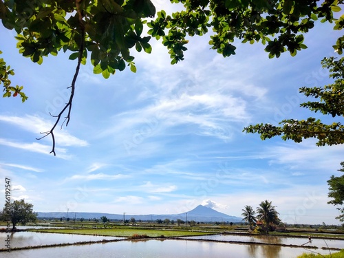 Fotografie The Majestic Seulawah from Indrapuri Fields