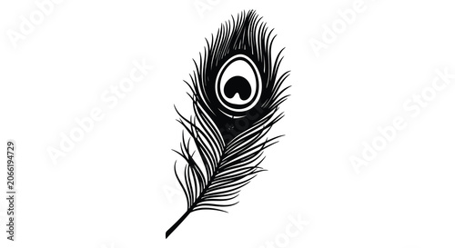 Peacock Feather Silhouette Against A White Background
