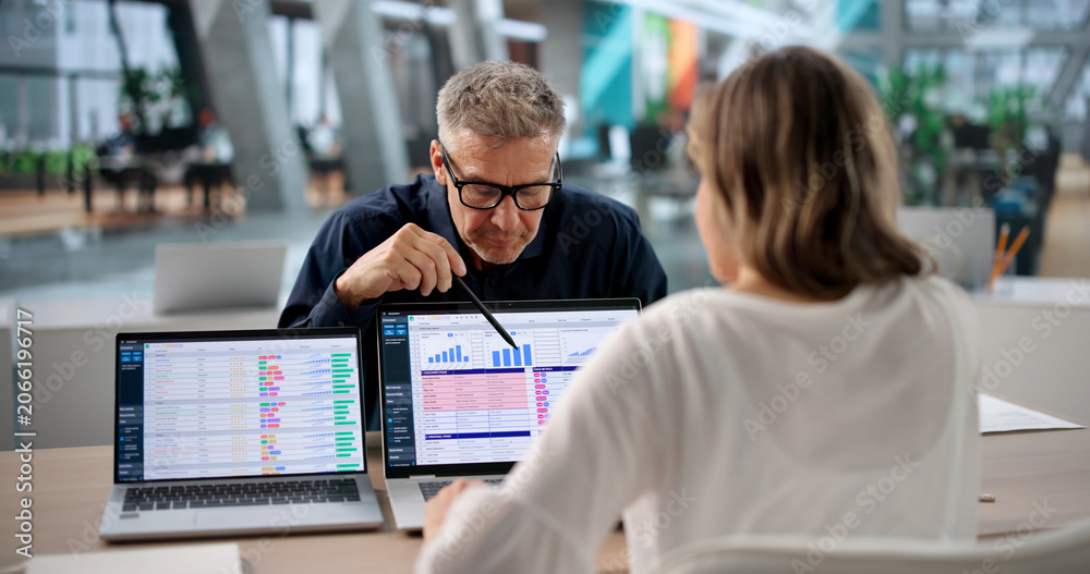 Fototapeta premium Woman Reviewing Medical Billing Spreadsheet Data On Laptop