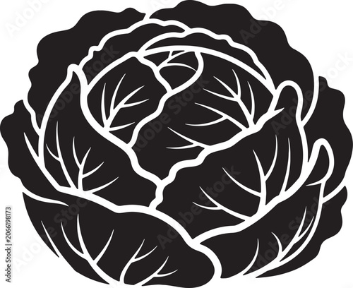 Cabbage vegetable vector icon isolated on transparent background art.
