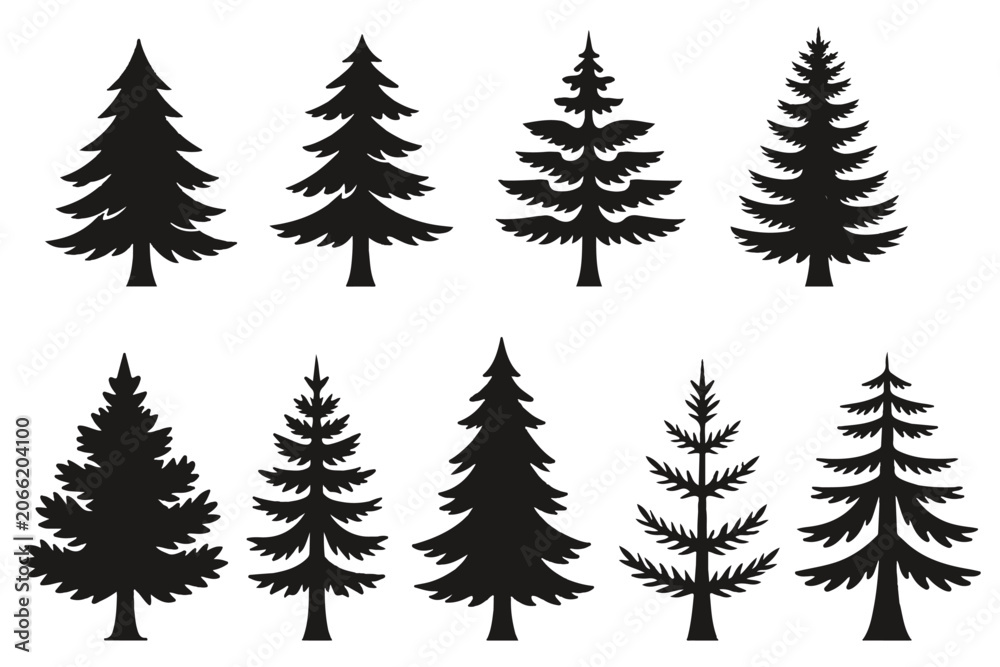 Fototapeta premium Forest trees set. Isolated vector silhouette. Coniferous forest. Christmas tree, fir-tree, pine, pine-tree, Scotch fir, cedar silhouette vector illustration