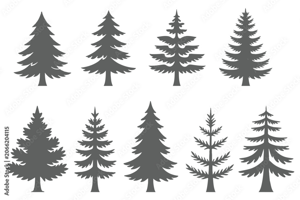 Obraz premium Forest trees set. Isolated vector silhouette. Coniferous forest. Christmas tree, fir-tree, pine, pine-tree, Scotch fir, cedar silhouette vector illustration