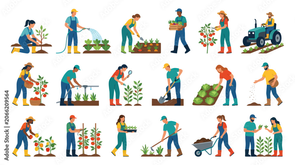 Fototapeta premium Farmers Working in Garden, Planting and Harvesting Vegetables, Flat Design