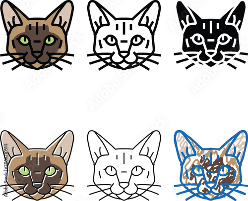 Photos tonkinese cat cute pet multipack color icon vector