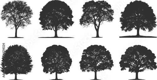 Konstfotografi Deciduous Tree Silhouette Collection Set with Detailed Forest Canopy Shapes for