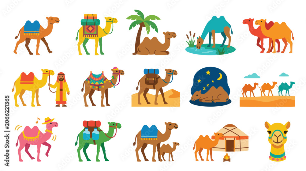 Obraz premium Flat Design Vector Camels Collection: Arabian Desert Travel, Culture, and Wildlife Illustrations Set