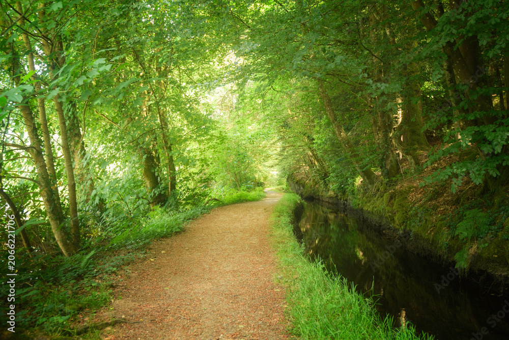 Naklejka premium Chemin au milieu de la foret longeant un cours d'eau, Huelgoat, la promenade du Canal. (Sentier du canal de la Mine)