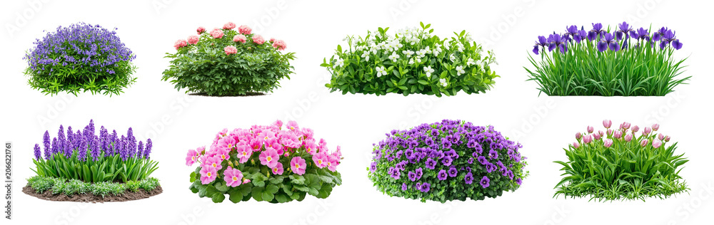 Fototapeta premium PNG Vibrant garden flowers in full bloom, transparent background