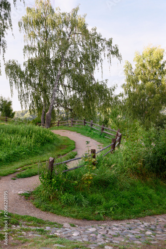 A winding path along a wooden fence leading to a hill with a birch tree