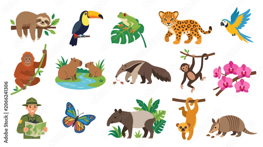 Obraz premium Flat Vector Set of Amazon Rainforest Animals and Ranger, Jungle Wildlife Illustration