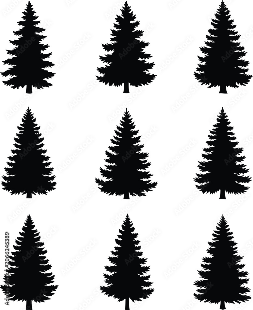 Obraz premium Black Pine Tree Silhouettes Set Isolated on White for Forest Design and Holiday Graphics