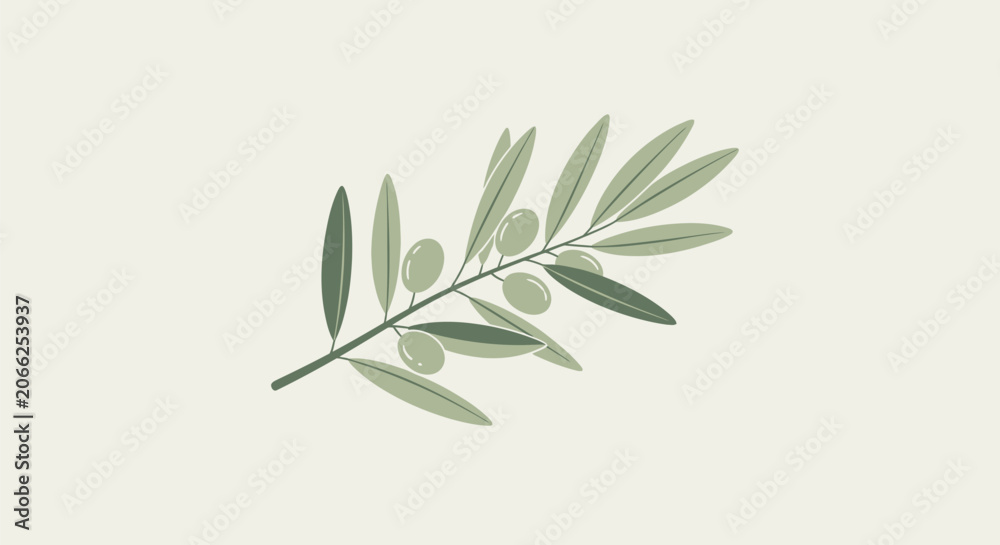 Fototapeta premium Minimalist olive branch illustration with green leaves and fruits.