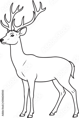 Majestic White Tailed Deer Buck Standing Side Profile Outline Vector
