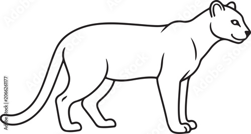 Simple Cougar Mountain Lion Panther Standing Full Body Outline Vector