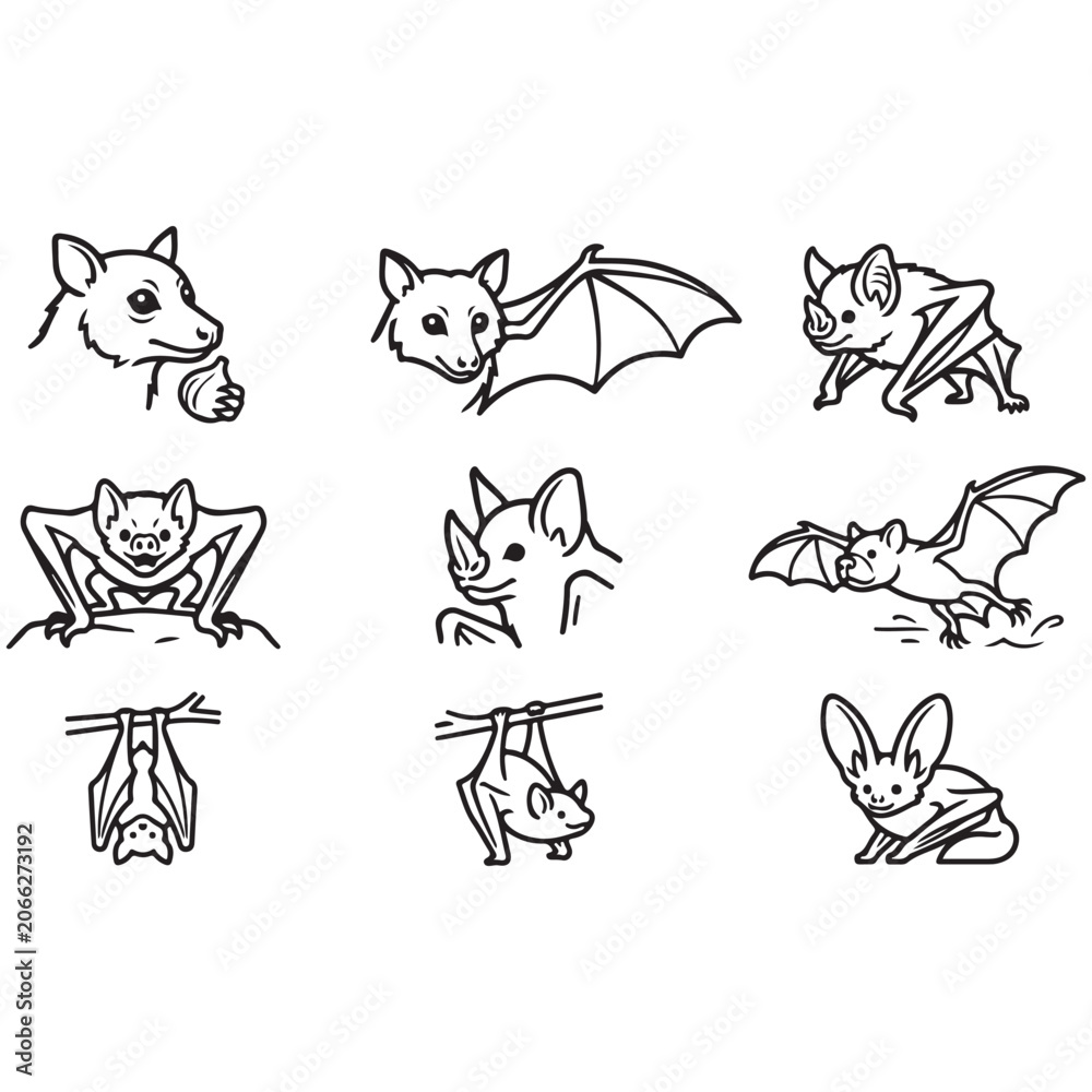 Fototapeta premium Nocturnal Animal Outline Bundle Featuring Bat Owl Fox and Night Wildlife