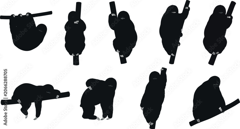 Obraz premium Sloth silhouettes on branches