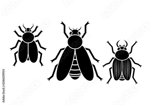 Black Beetles Silhouette Isolated on White Background