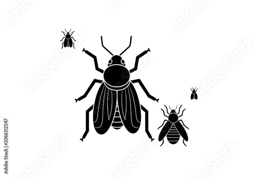 Black Beetles Flying on White Background