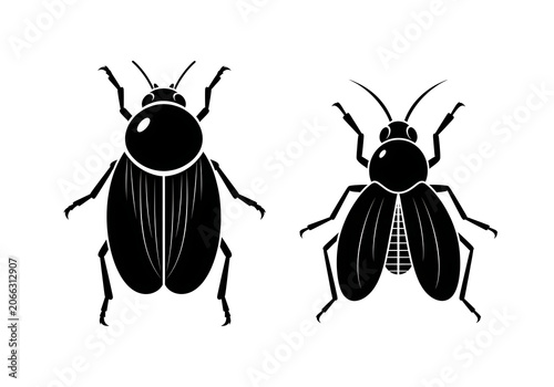 Black Beetle Insects Silhouette Isolated on White Background